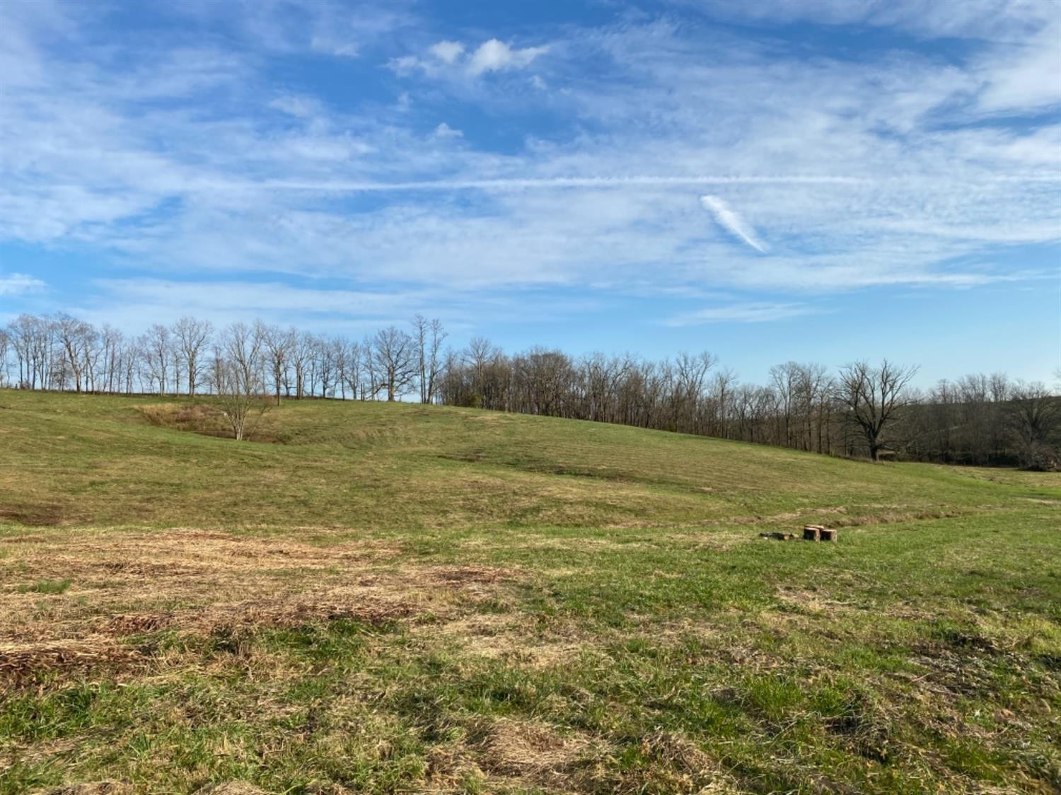 591 Rockridge Road Paris, KY 40361 - Photo 43 of 61 Photo 44