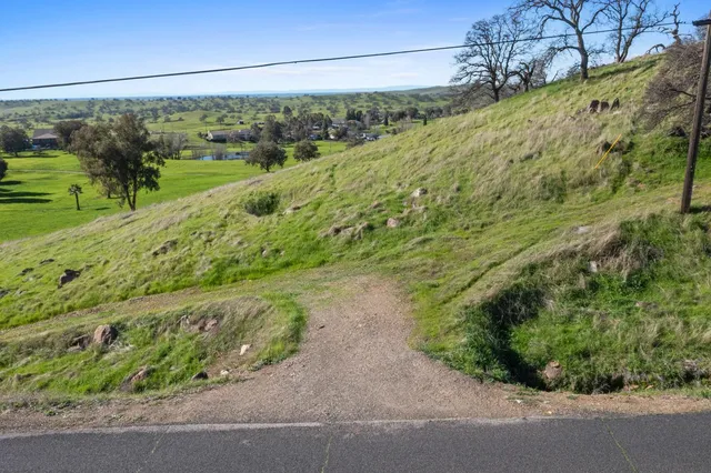 a view of a yard with a garden