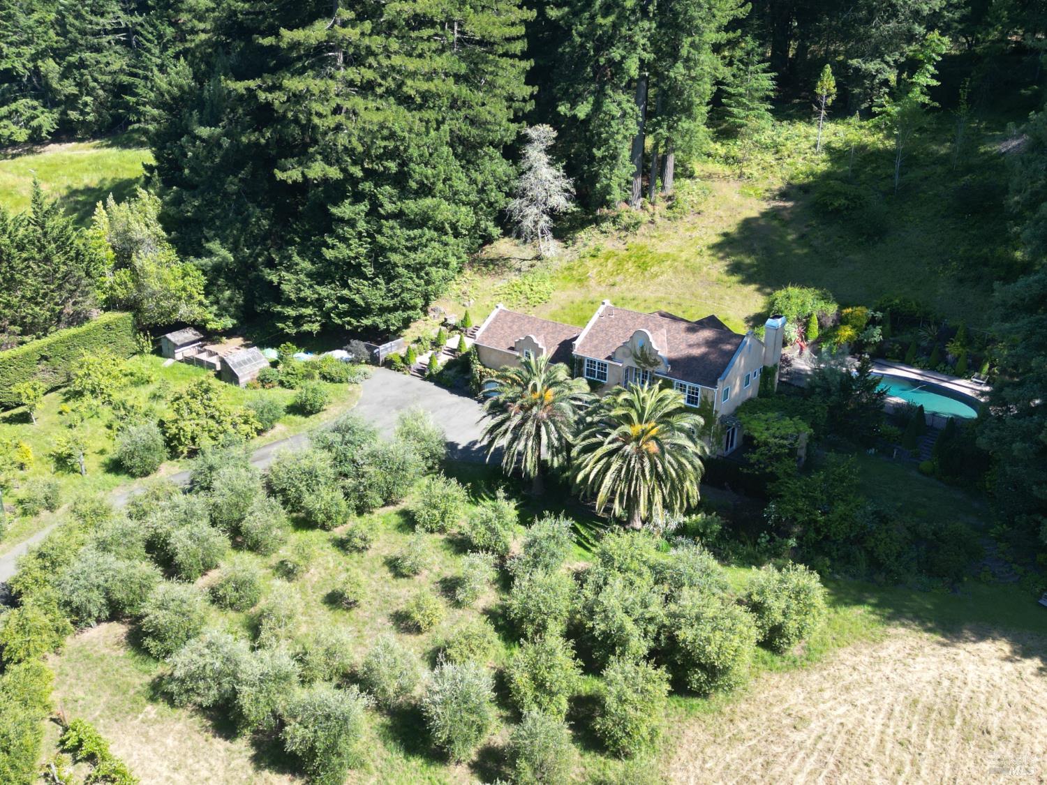 16875 Coleman Valley Road Occidental, CA 95465 - Photo 33 of 84
