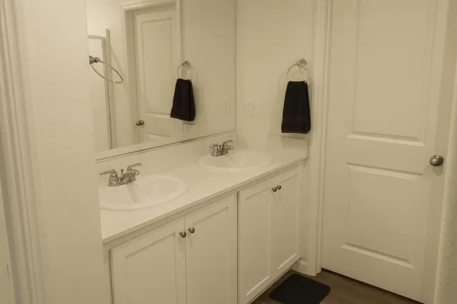 a bathroom with a sink and a mirror