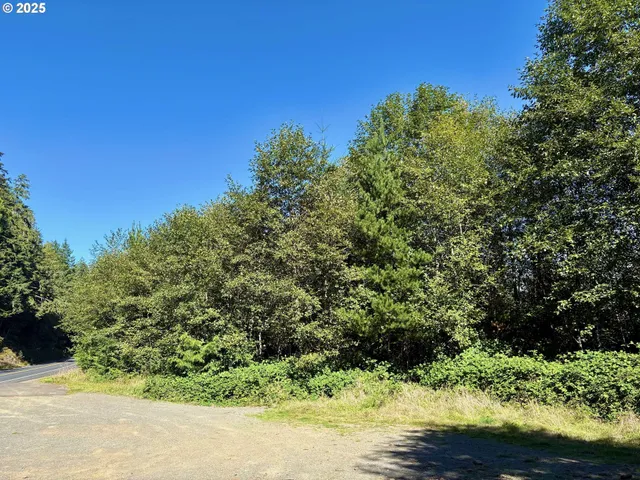 $60,000 | Galloway Road, Cloverdale, OR 97112