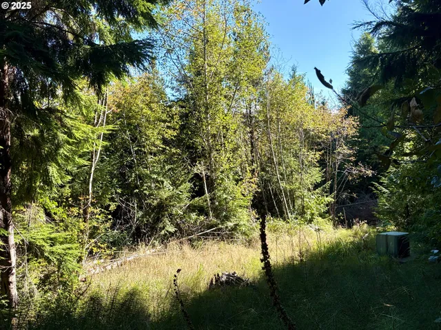 $60,000 | Galloway Road, Cloverdale, OR 97112