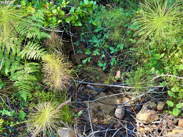 $60,000 | Galloway Road, Cloverdale, OR 97112