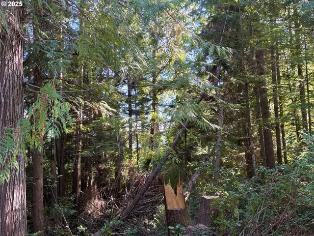 $60,000 | Galloway Road, Cloverdale, OR 97112