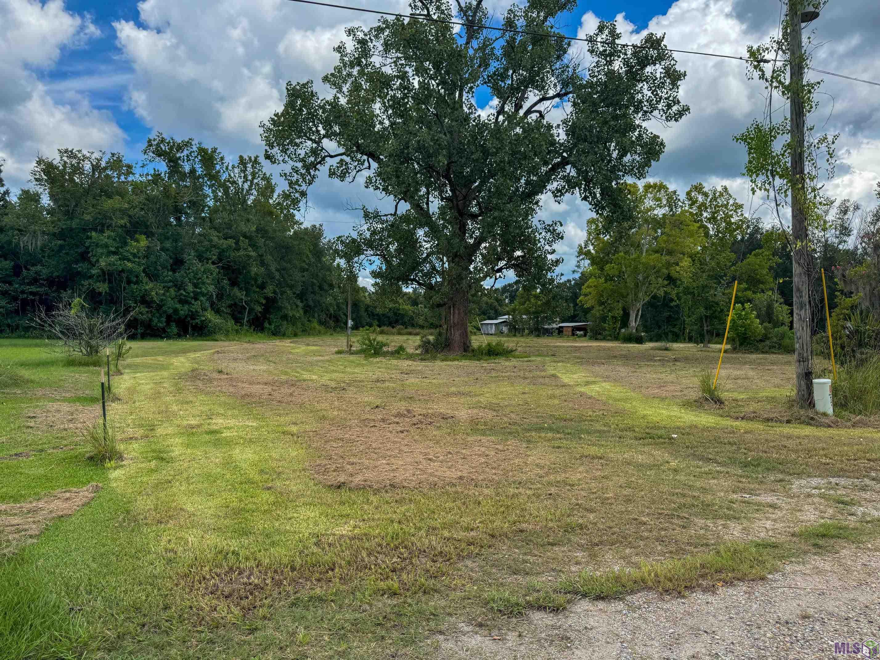 48196 Rogers A Road St. Amant, LA 70774 - Photo 3 of 10 Gallery Image 3