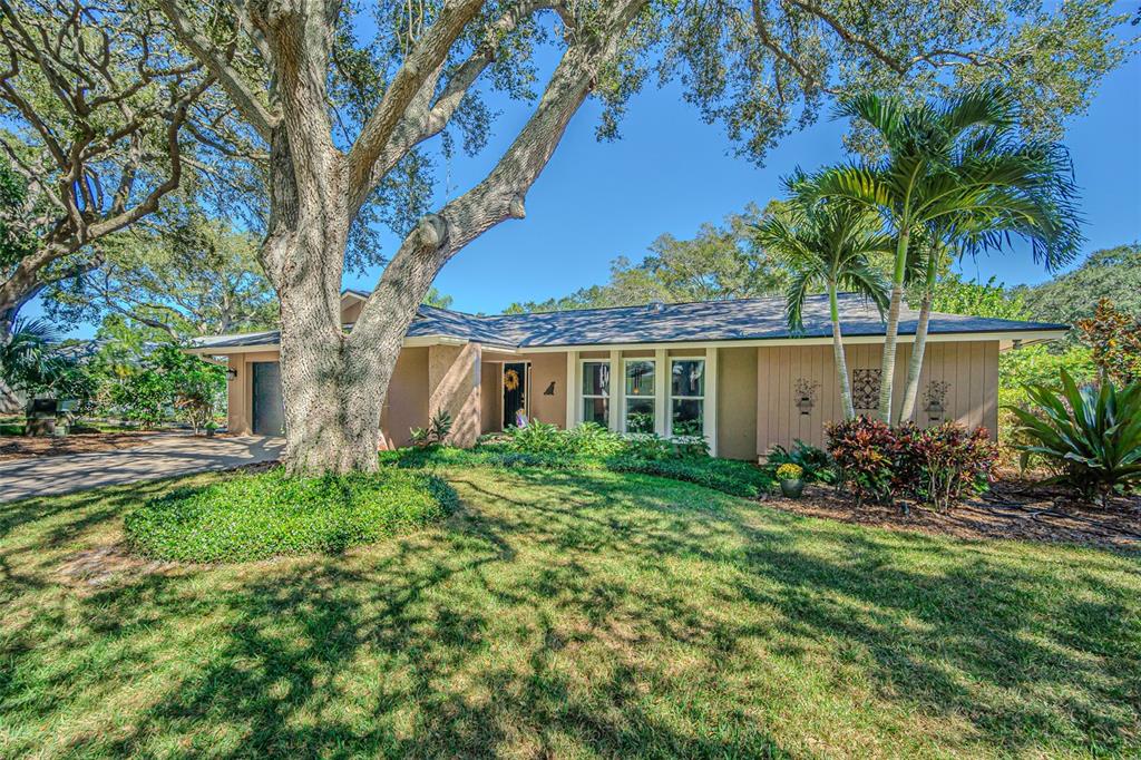936 Highview Drive Palm Harbor, FL 34683 - Photo 47 of 52