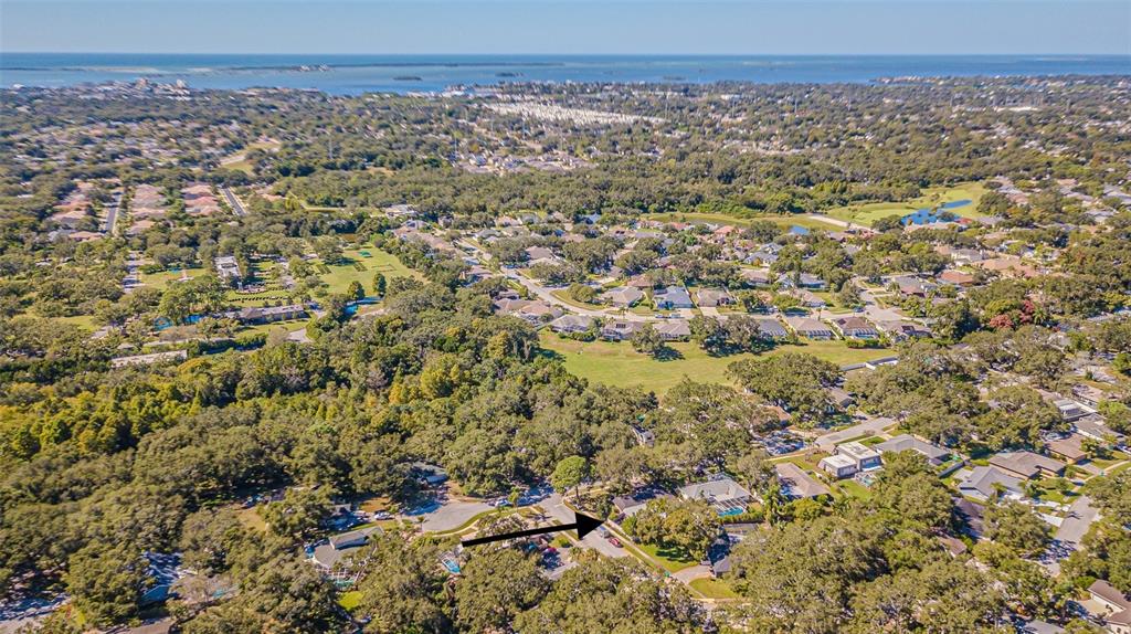 936 Highview Drive Palm Harbor, FL 34683 - Photo 49 of 52