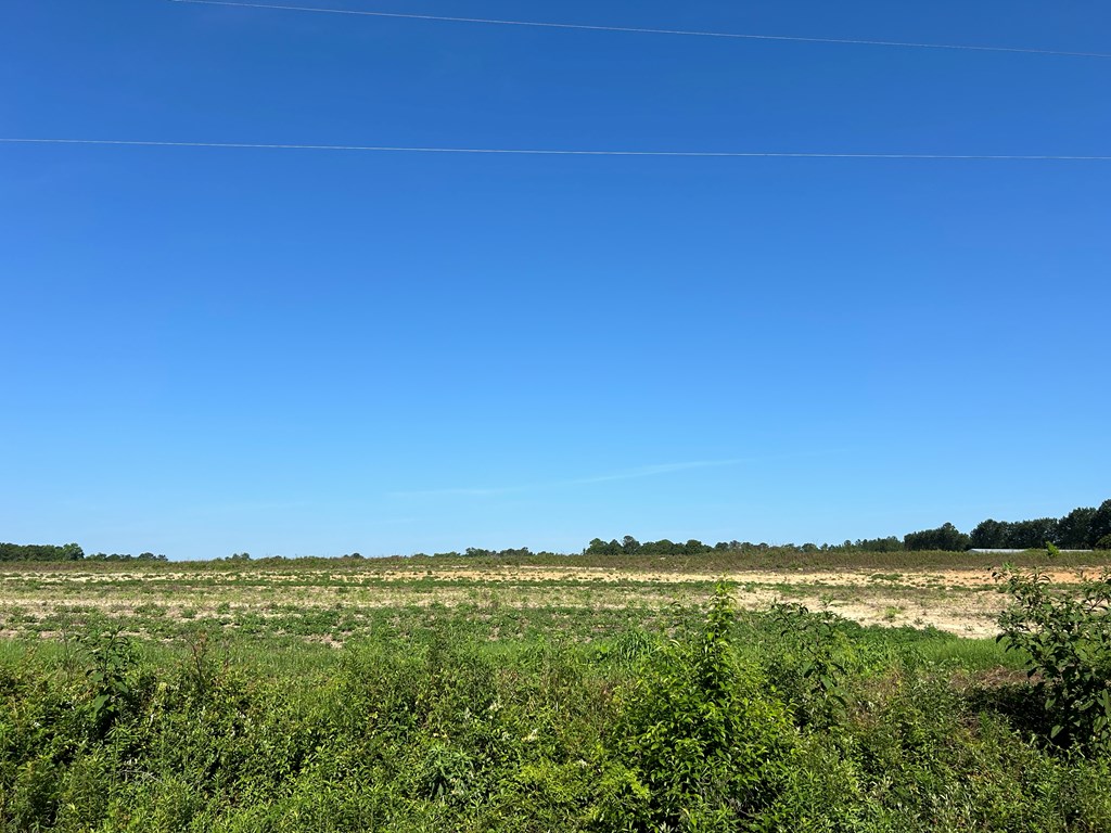 40.522-ac Cecil Varnum Road Dothan, AL 36301 - Photo 34 of 38