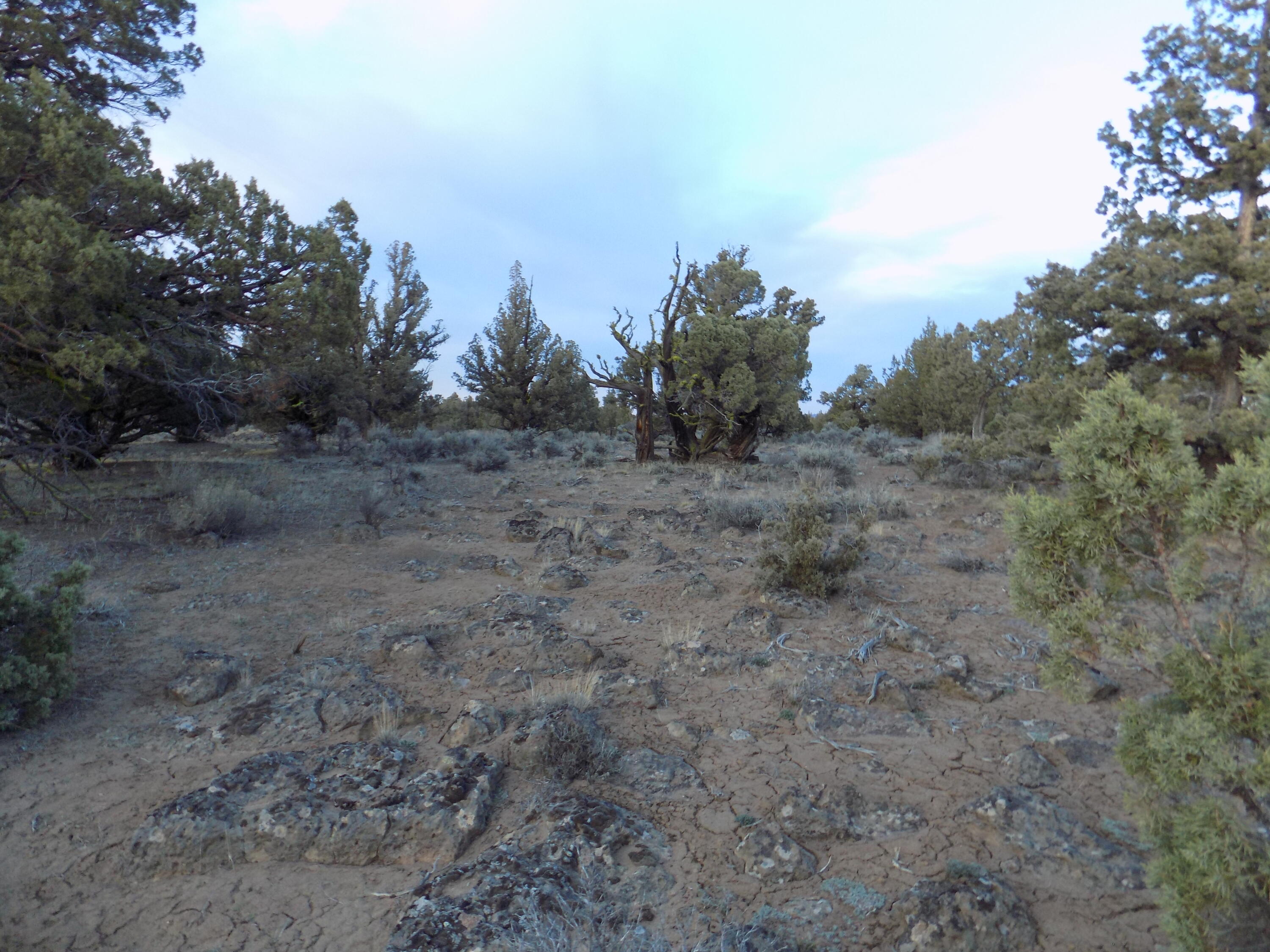 1400 Golden View Ranch Bend Bend, OR 97701 - Photo 13 of 13 DSCN6160