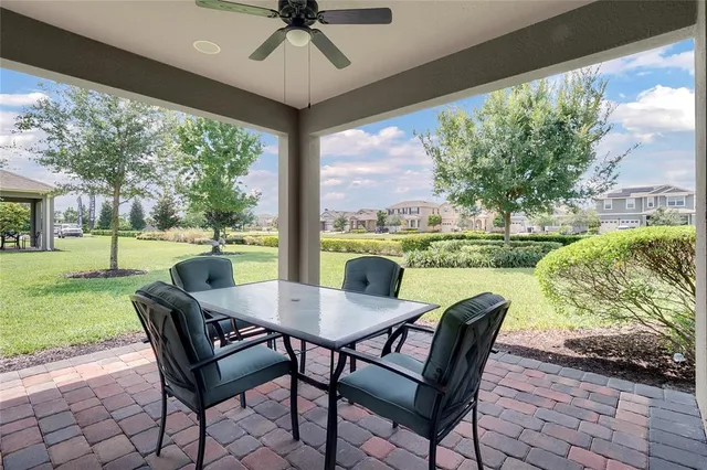 a view of a garden with an outdoor space