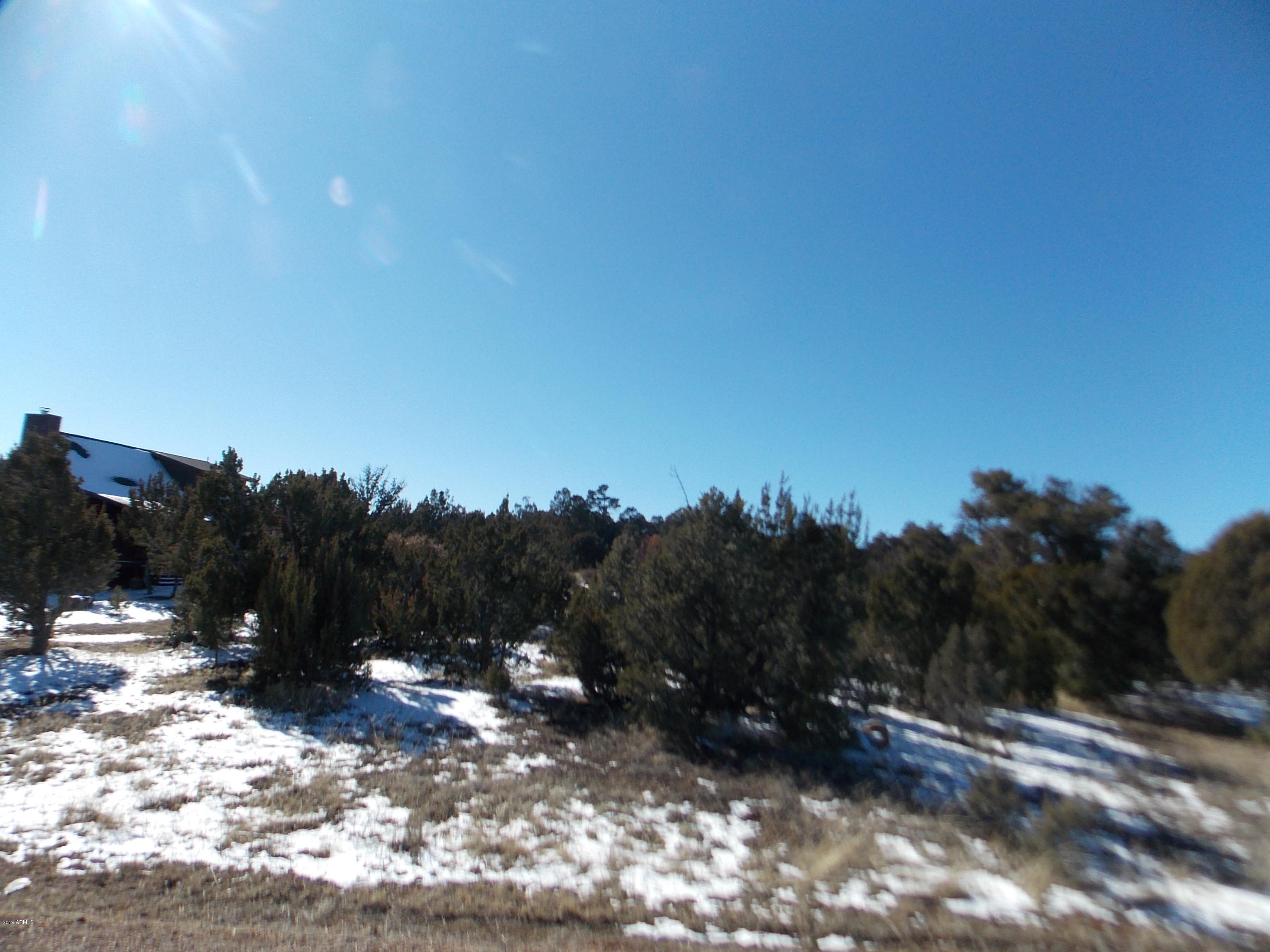 3440 Riata Road, Unit 60 Heber, AZ 85928 - Photo 2 of 7 DSCN1010