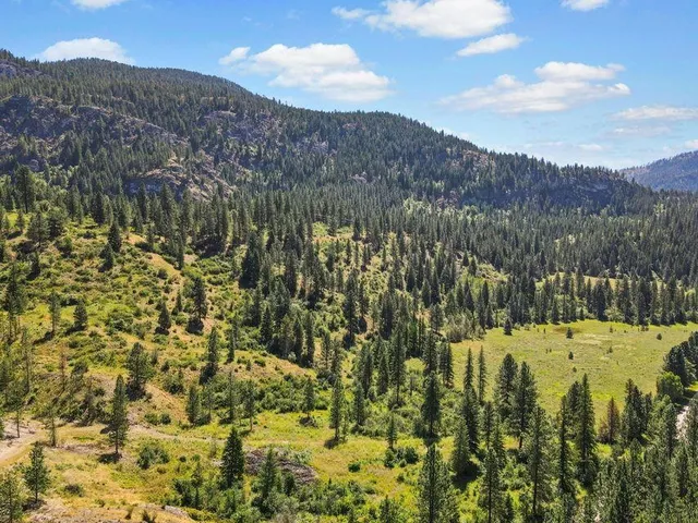 $1,110,000 | 3850 North N Highway, Northport, WA 99157