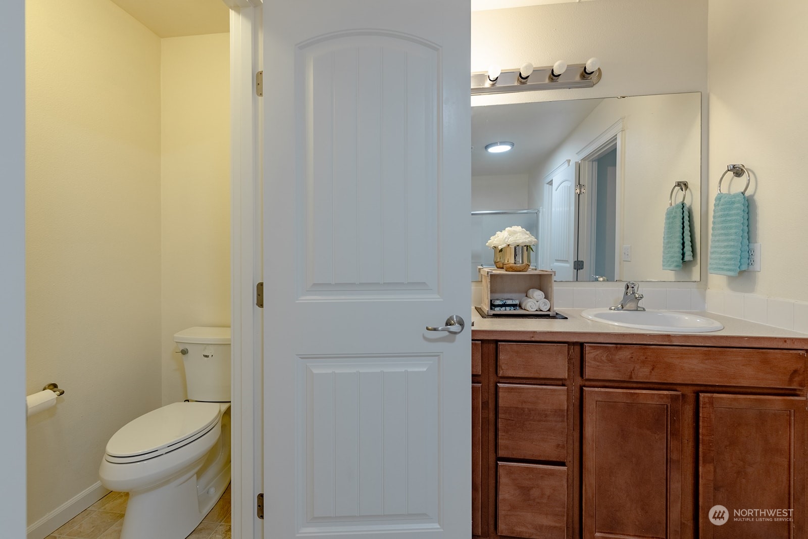 1324 Farina Loop Southeast Olympia, WA 98513 - Photo 30 of 40 a bathroom with a toilet a sink and mirror
