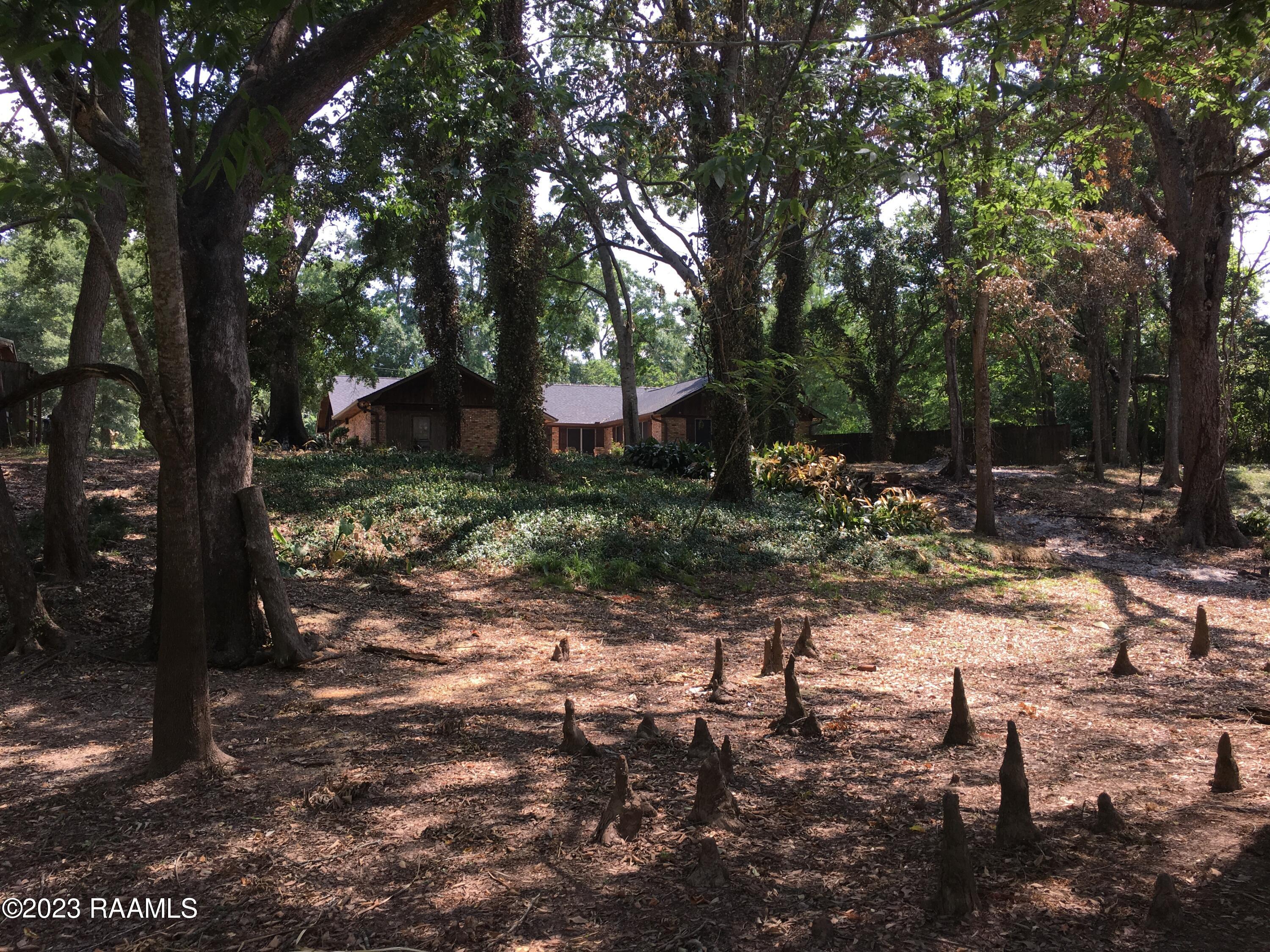 500l Degeyter Road, Unit L Breaux Bridge, LA 70517 - Photo 5 of 48 IMG_5625