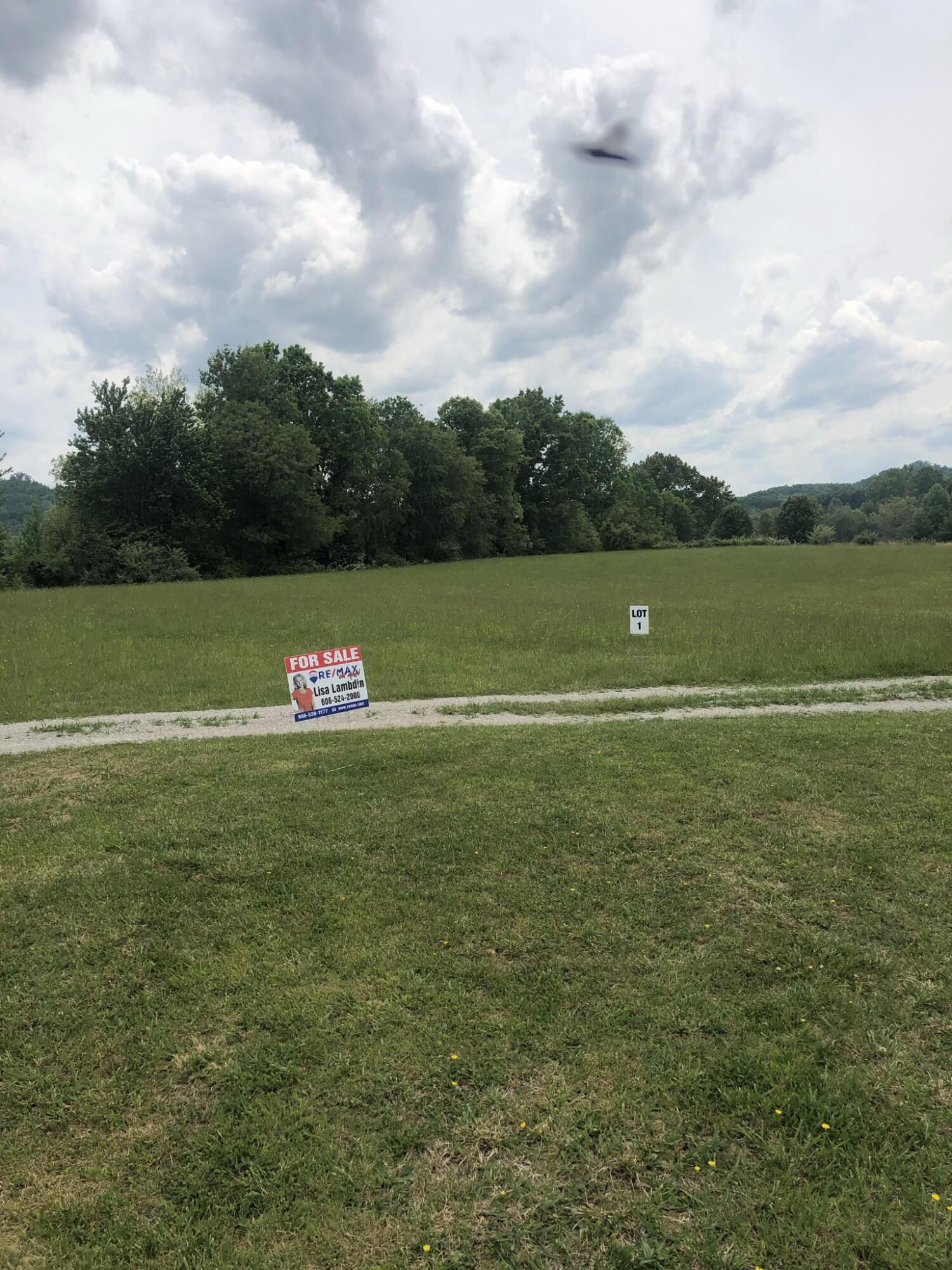 0 Lloyd Hollow Road, Unit TRACT #1 Corbin, KY 40701 - Photo 9 of 9 496D811B-5420-4AB6-A7F5-B3616950A780