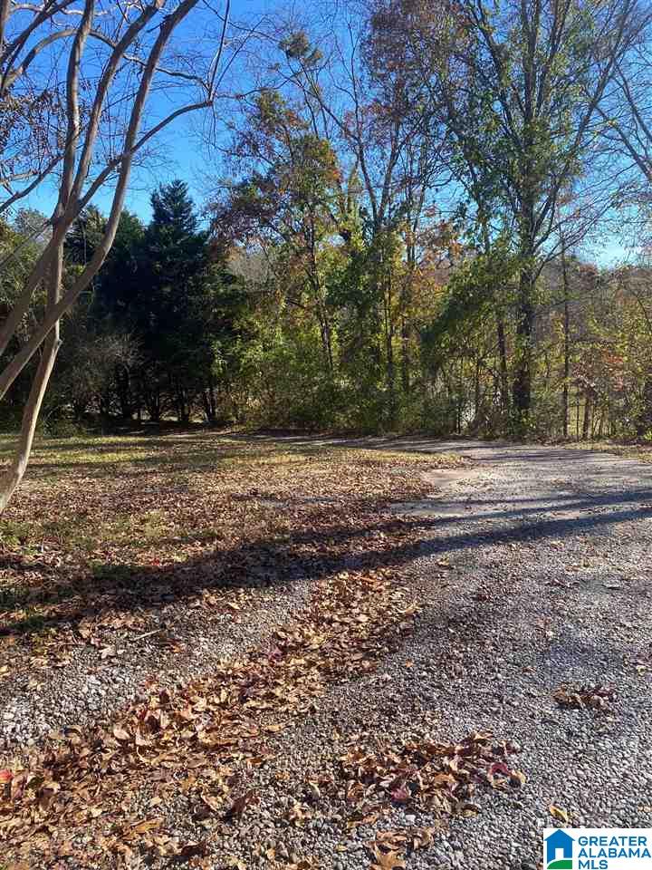 1169 Raywood Road Woodstock, AL 35188 - Photo 30 of 50