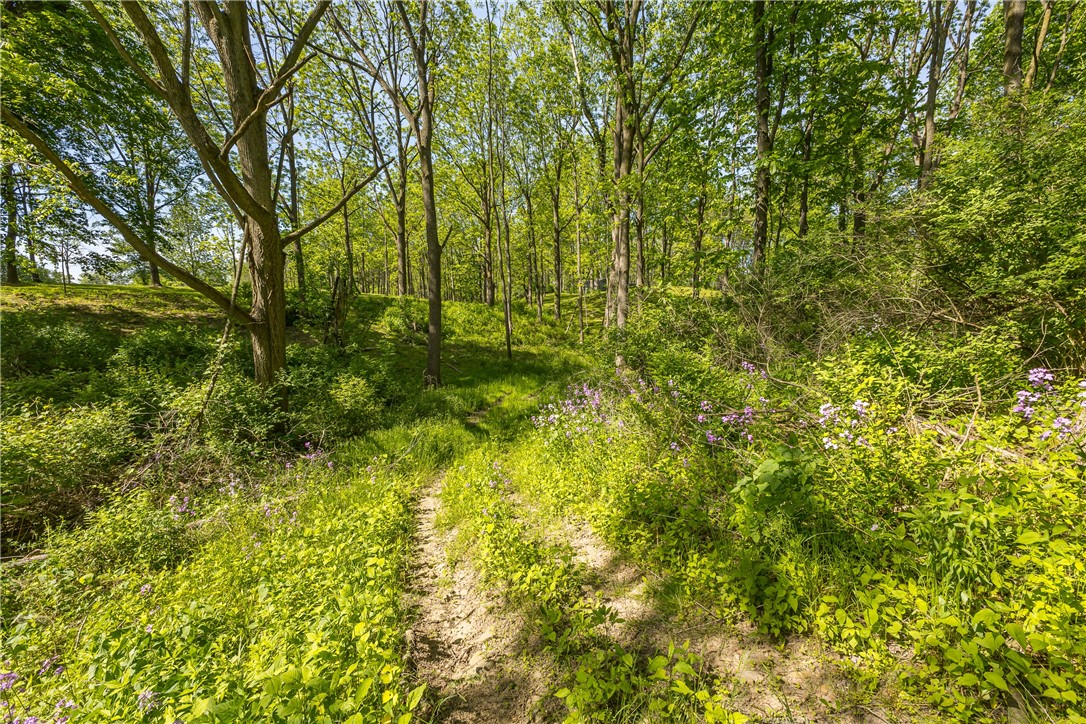 2404 Cambier Road Arcadia, NY 14513 - Photo 28 of 31