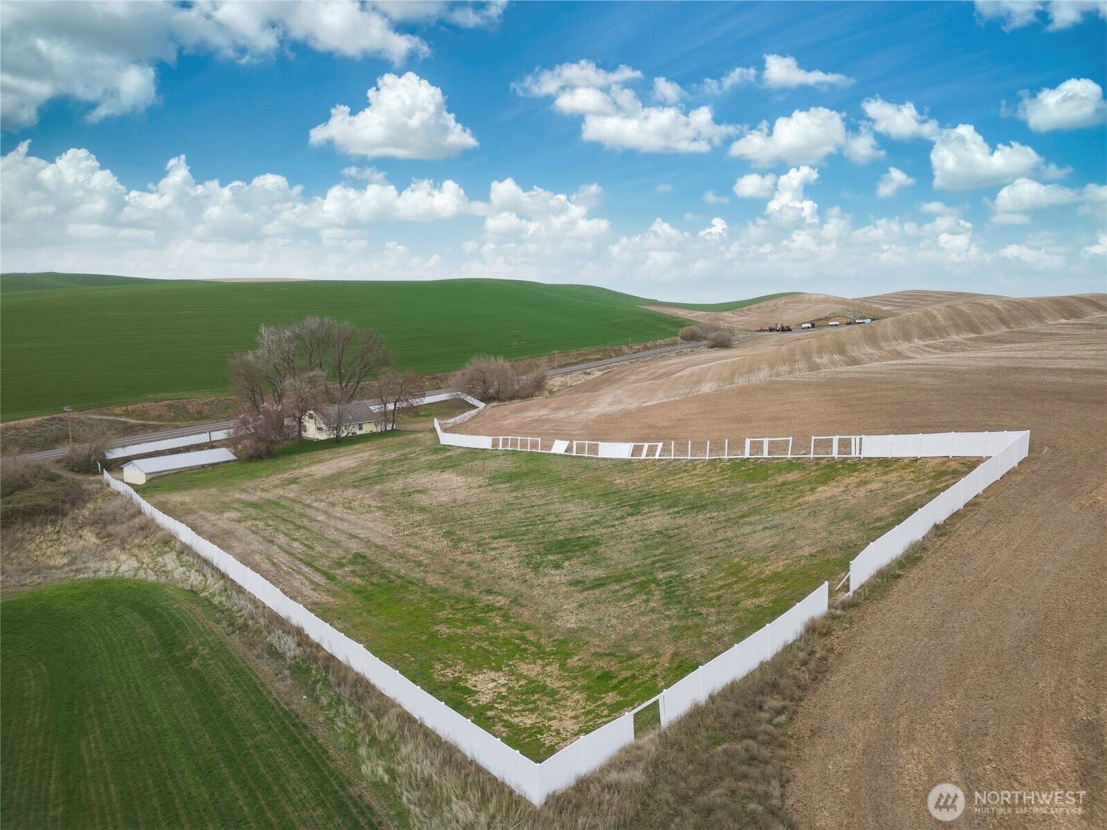 315 Thorn Hollow Road Dayton, WA 99328 - Photo 39 of 40 a view of a back yard of the house