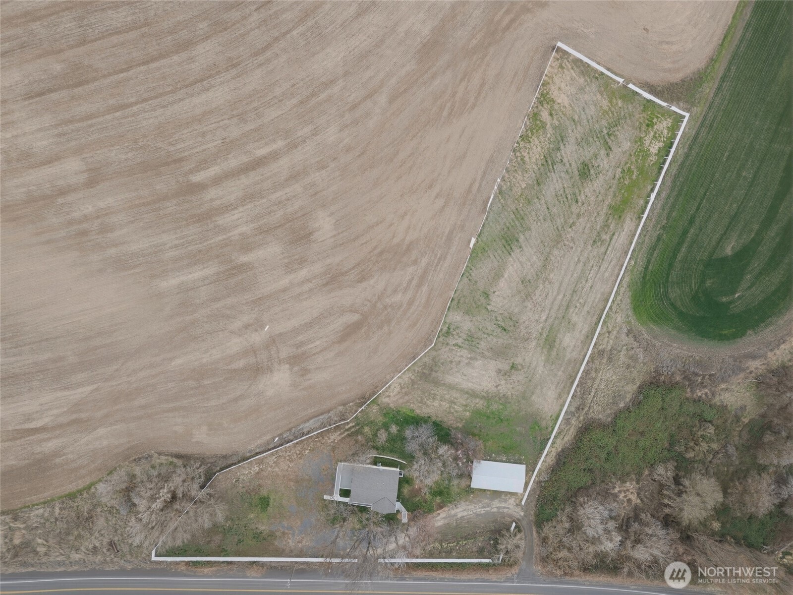 315 Thorn Hollow Road Dayton, WA 99328 - Photo 40 of 40 a close up of a shower curtain