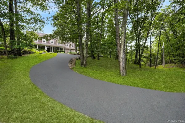 a view of a park with large trees