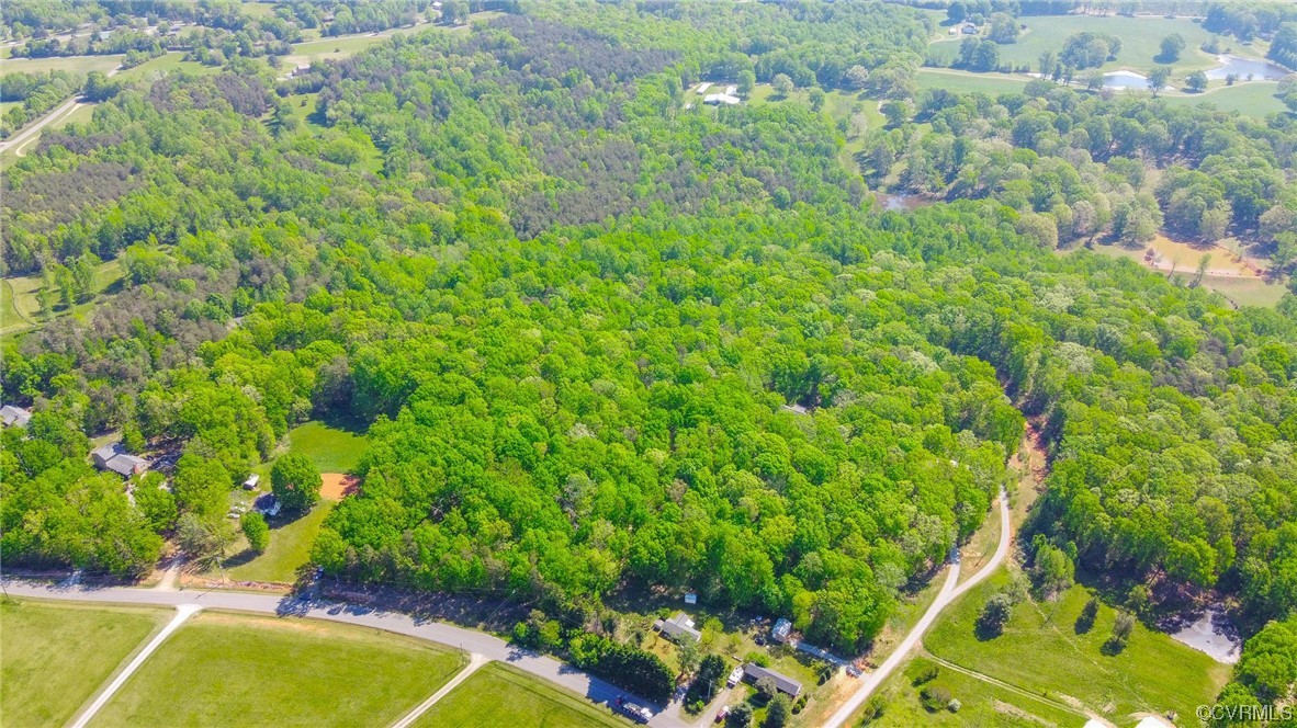 0 Turner Road Goochland, VA 23063 - Photo 5 of 9 a view of a yard with plants