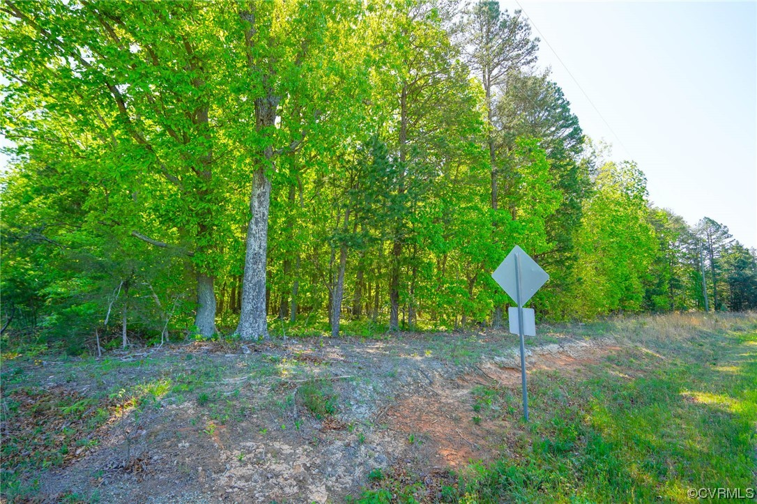 0 Turner Road Goochland, VA 23063 - Photo 7 of 9 a view of a backyard