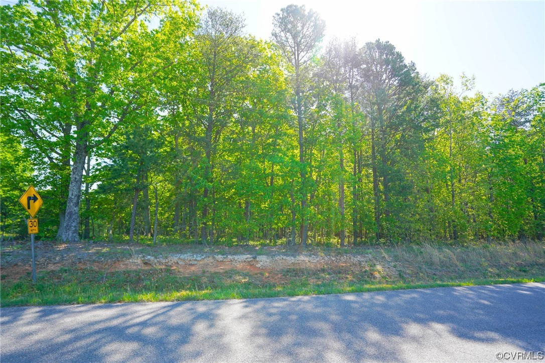 0 Turner Road Goochland, VA 23063 - Photo 8 of 9 a view of outdoor space and yard