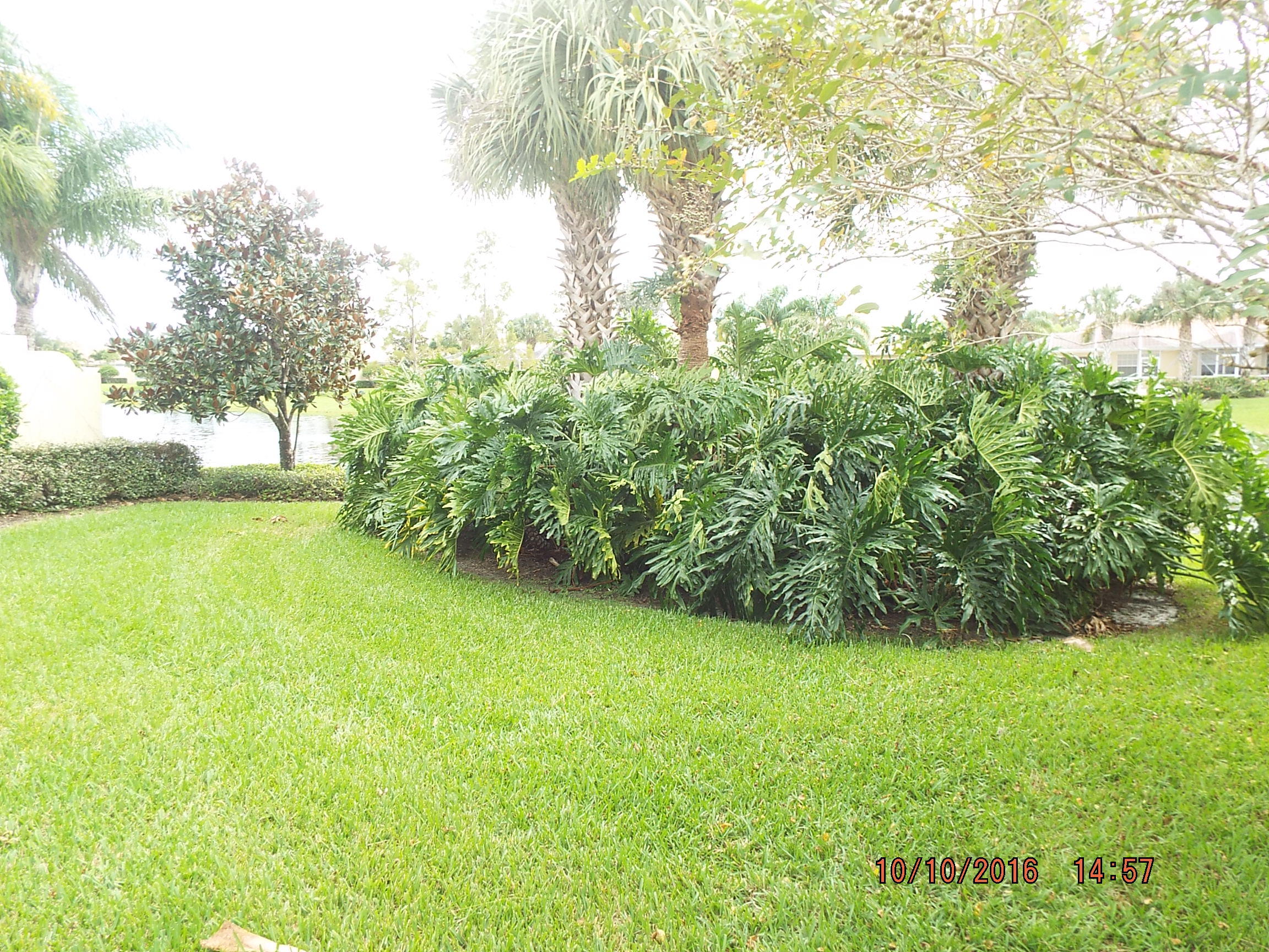8224 Pine Cay Road Wellington, FL 33414 - Photo 14 of 44 Back Yard