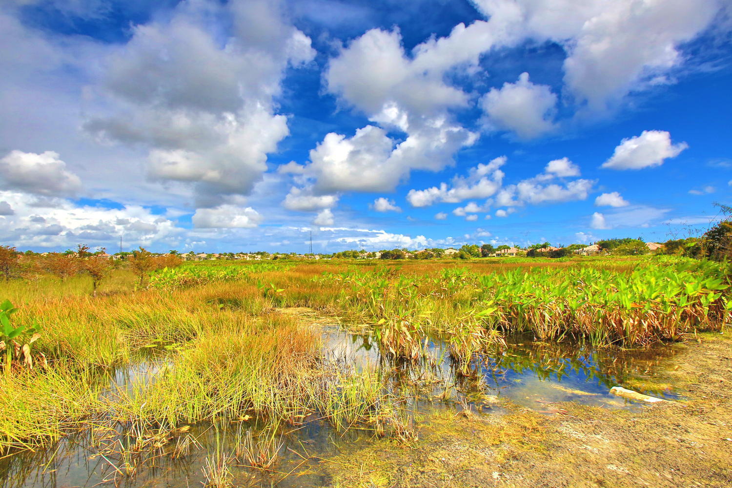 8224 Pine Cay Road Wellington, FL 33414 - Photo 28 of 44 VW Preserve