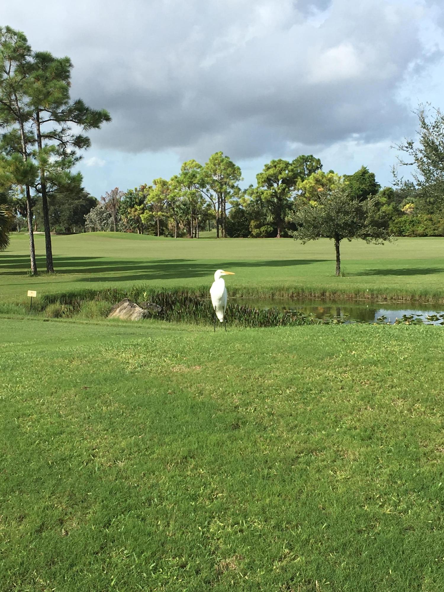 8224 Pine Cay Road Wellington, FL 33414 - Photo 37 of 44 Wild Life