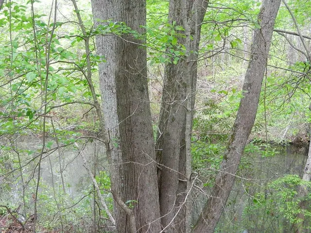 a black and white photo of a living room