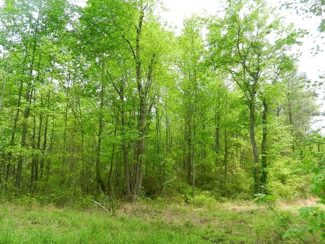 $110,000 | 0 Lewis Road, Zebulon, NC 27597