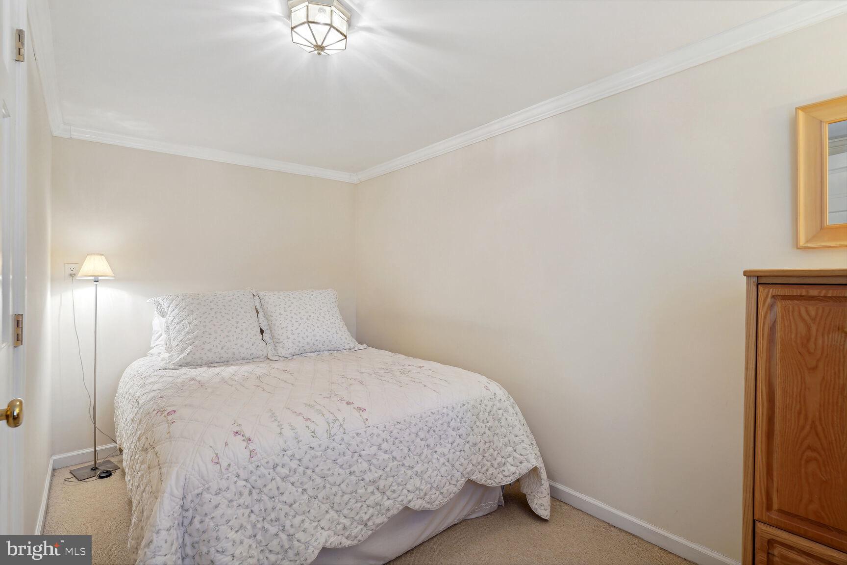 8105 Rayburn Road Bethesda, MD 20817 - Photo 21 of 25 Bdr #4 lower level with garden views