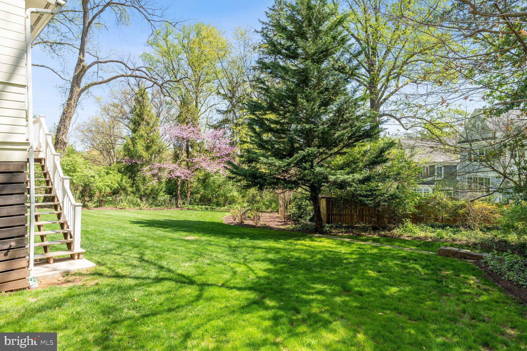 8105 Rayburn Road Bethesda, MD 20817 - Photo 24 of 25 Flowering trees and privacy