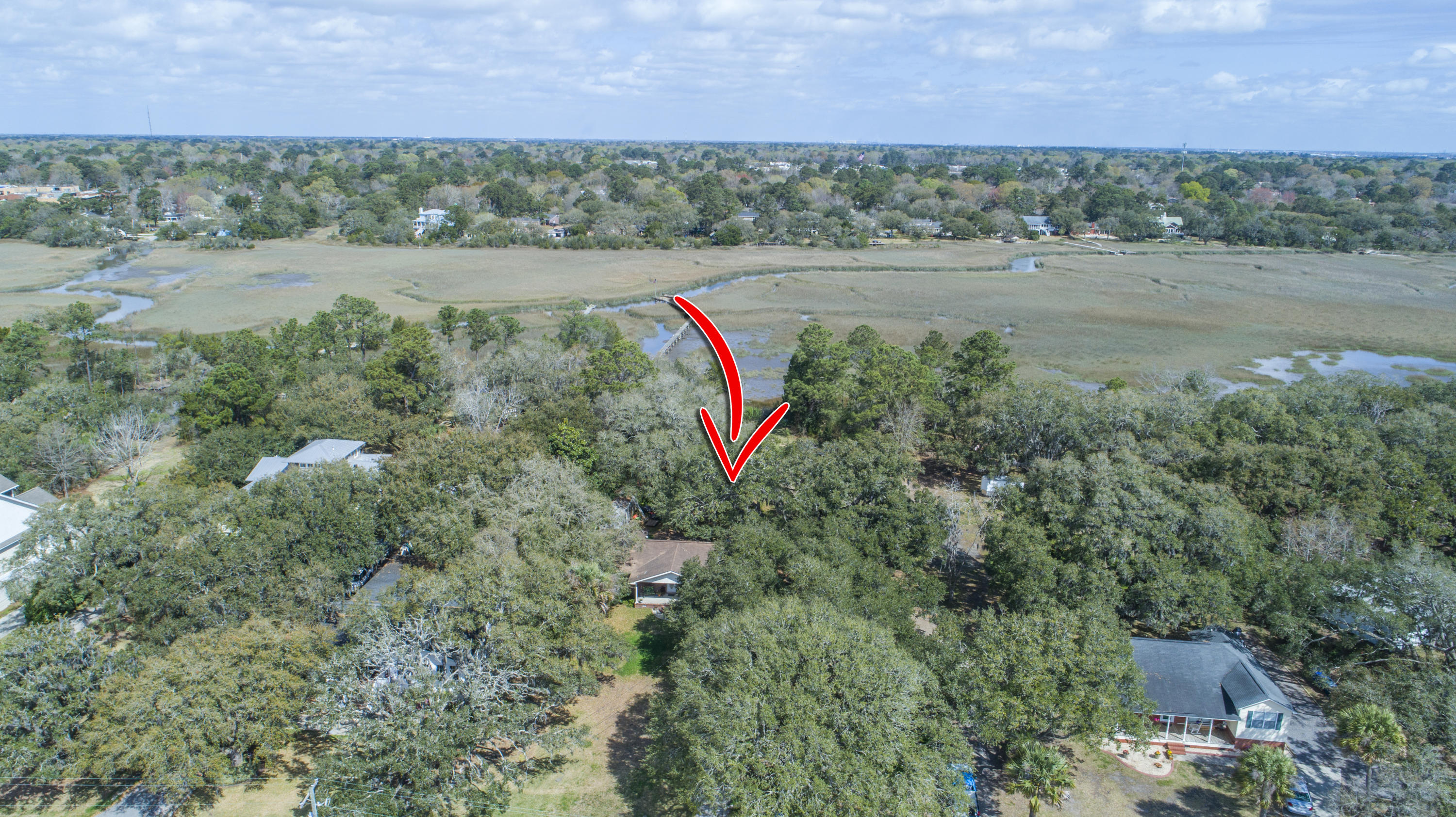 0 Wappoo Road, Unit LOT #27 Charleston, SC 29407 - Photo 5 of 28 Wappoo_Edited_004 copy
