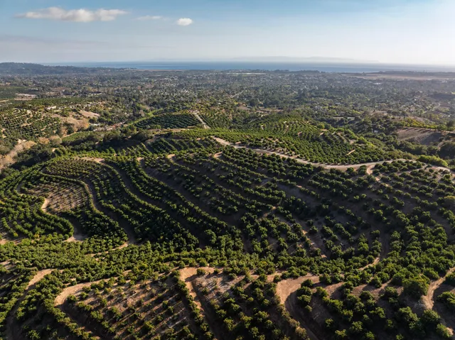 $6,250,000 | 1500 Camino Meleno, Santa Barbara, CA 93111