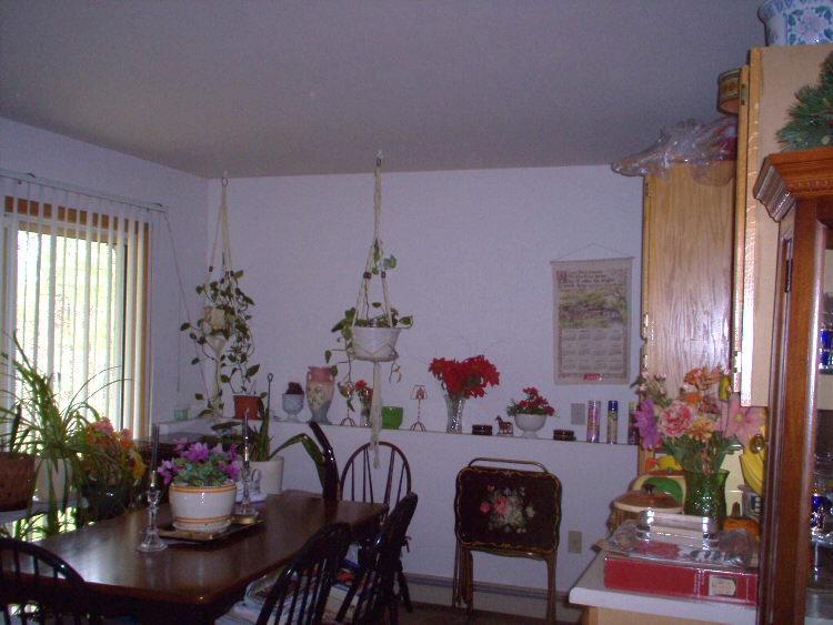 1600 Pine Ridge Lane Effort, PA 18330 - Photo 6 of 12 2nd Kitchen