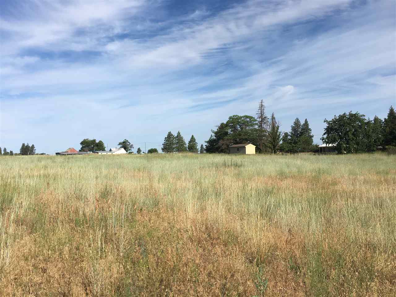 6606 South Spotted Road Cheney, WA 99004 - Photo 4 of 9