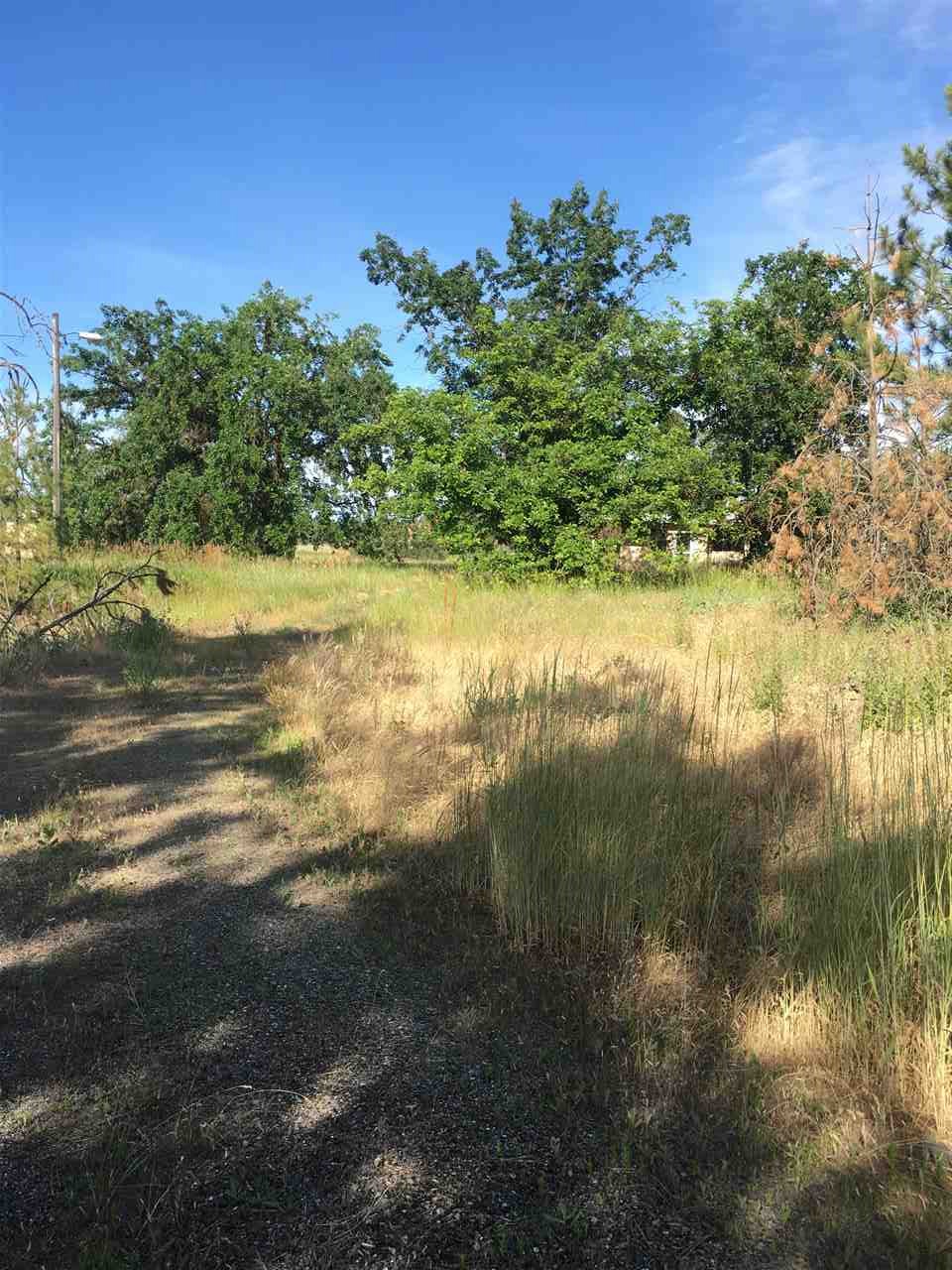 6606 South Spotted Road Cheney, WA 99004 - Photo 5 of 9