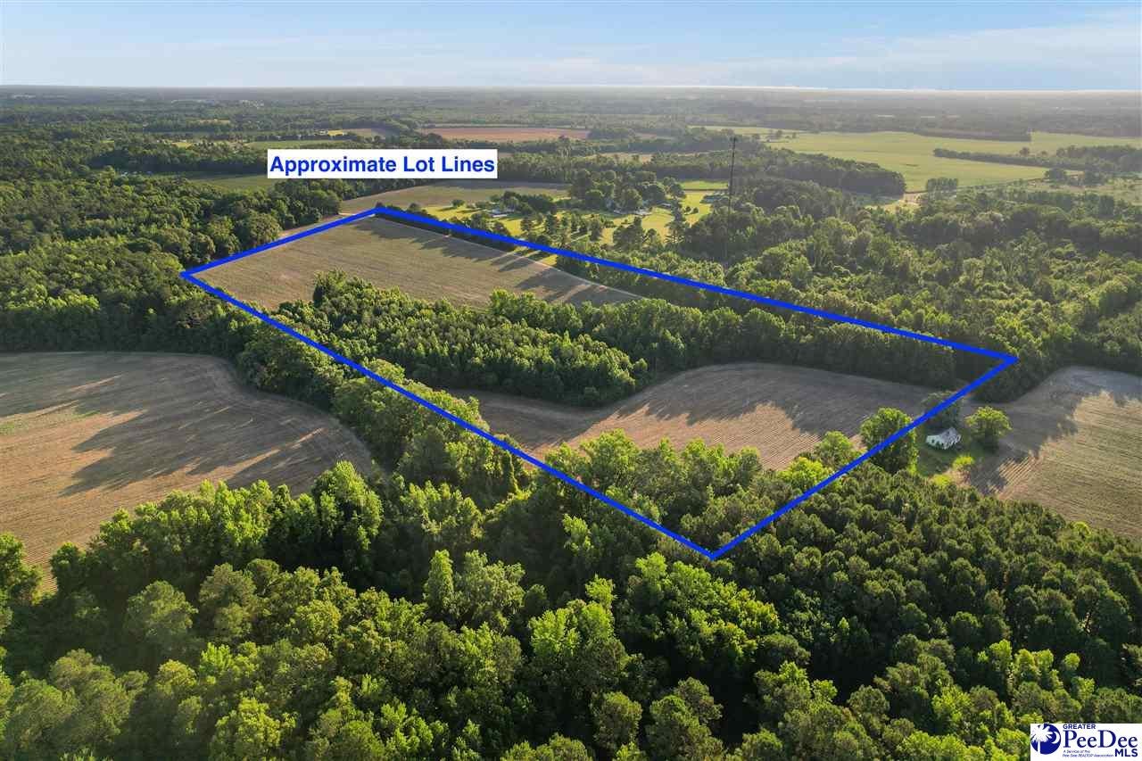 Lot 2-tbd Windham Town Road Lamar, SC 29069 - Photo 6 of 14 Gallery Image 6