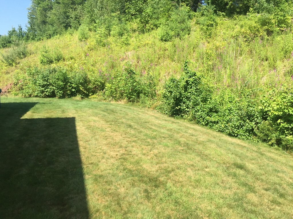 3 Eastern Lane Rutland, MA 01543 - Photo 20 of 22 a view of yard with green space