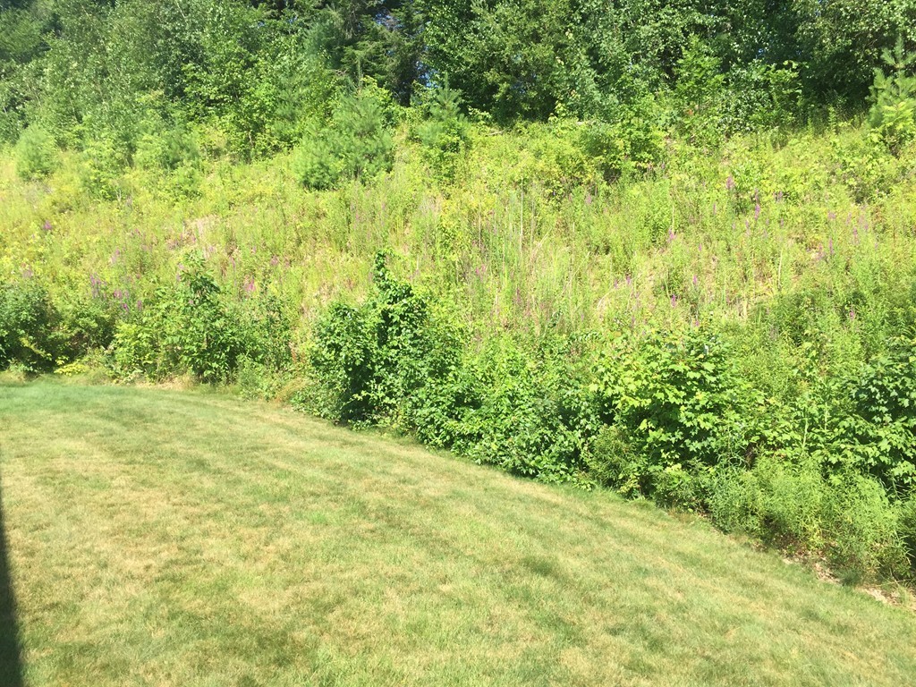 3 Eastern Lane Rutland, MA 01543 - Photo 22 of 22 a view of a yard with an outdoor space
