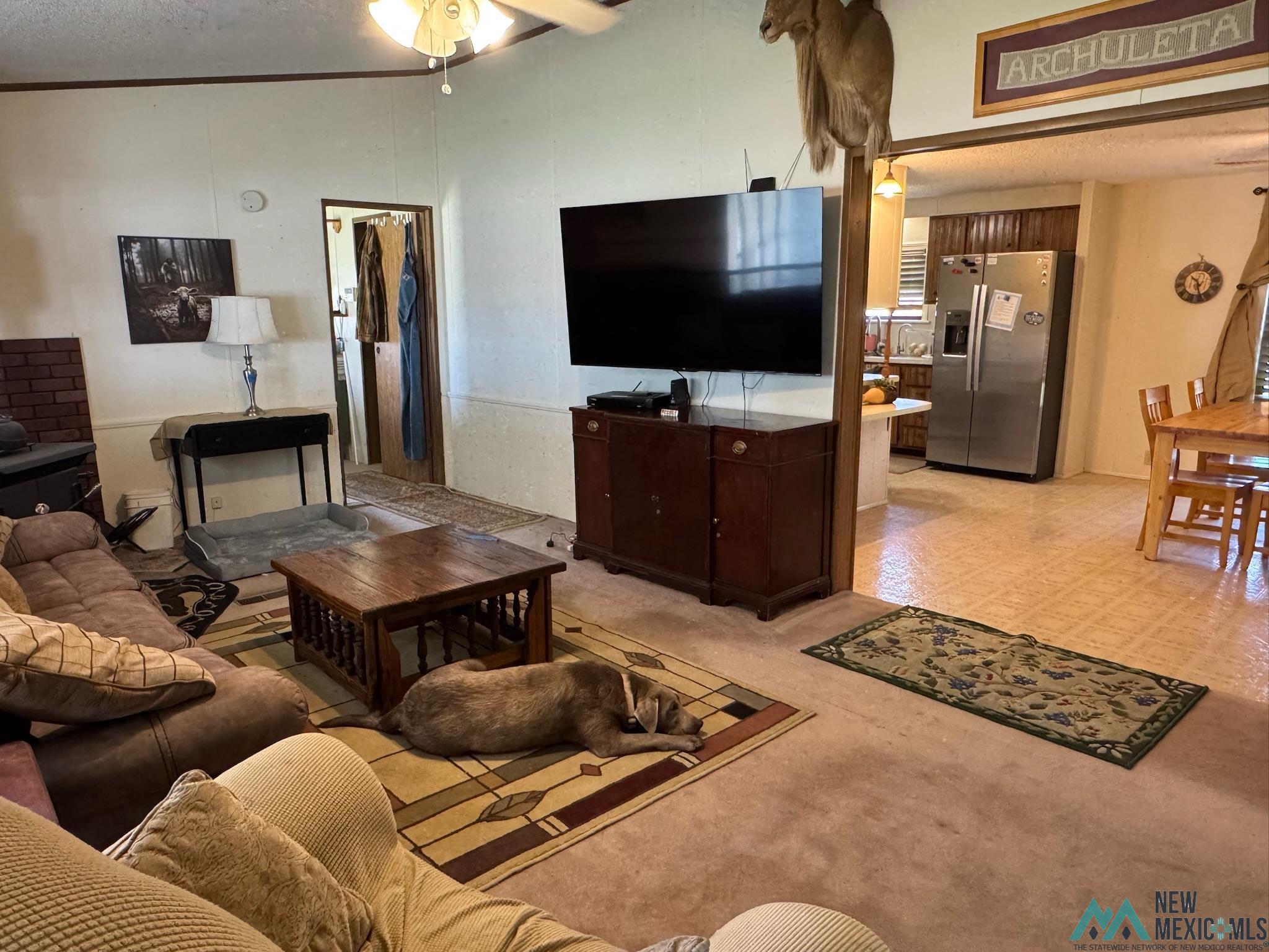 6660 Cherokee Road Dexter, NM 88230 - Photo 4 of 46 Living area with wall-to-wall carpeting and a ceiling fan