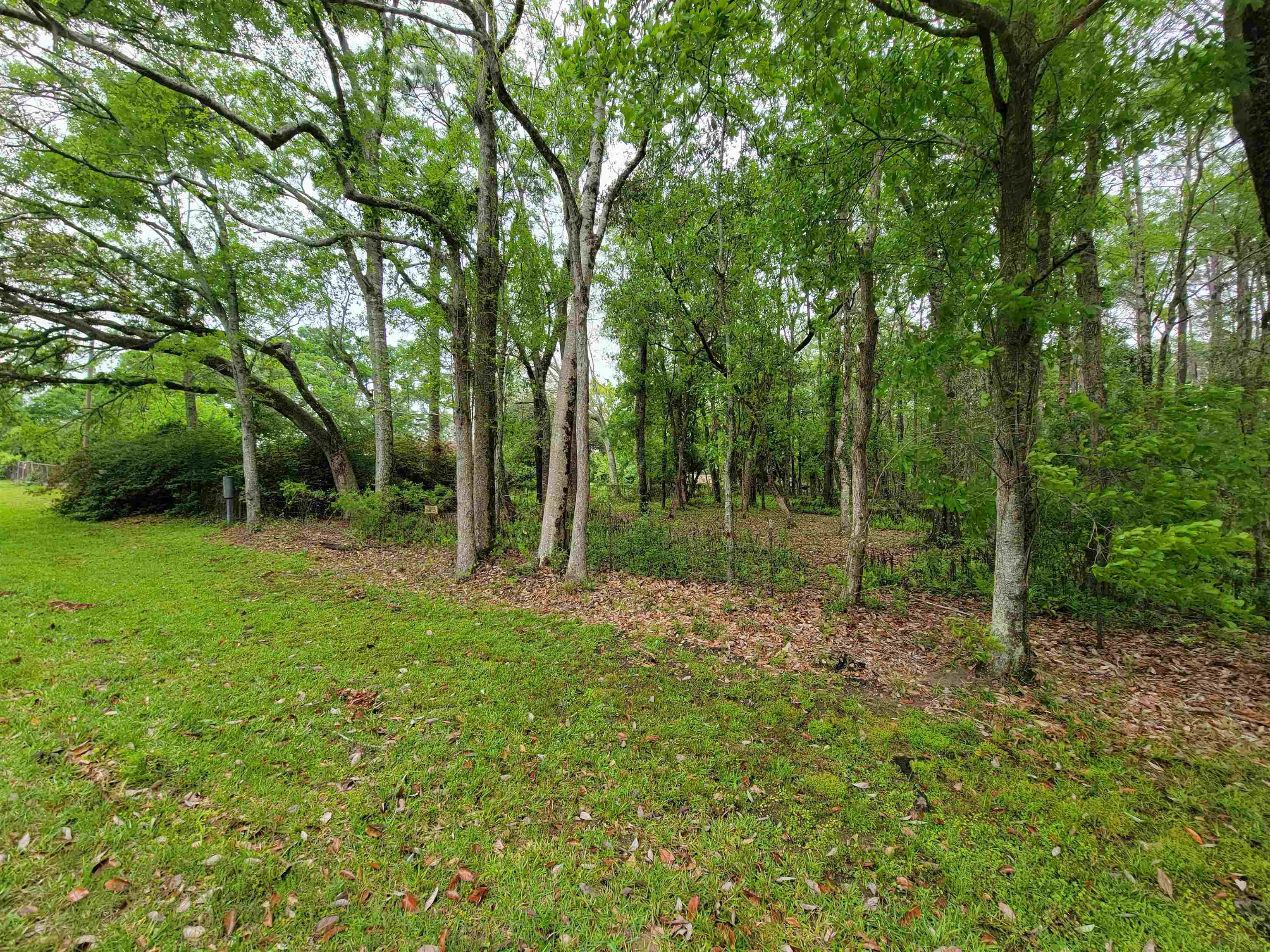 10 County Road Foley, AL 36535 - Photo 3 of 17