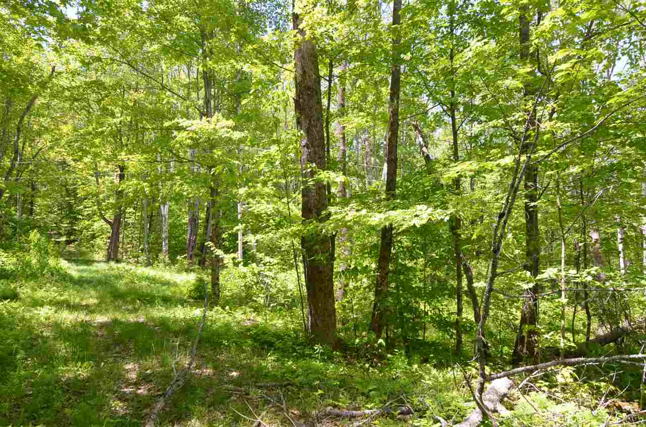 809 Hurd Pond Road, Unit TRACT A Newport, NH 03773 - Photo 2 of 2