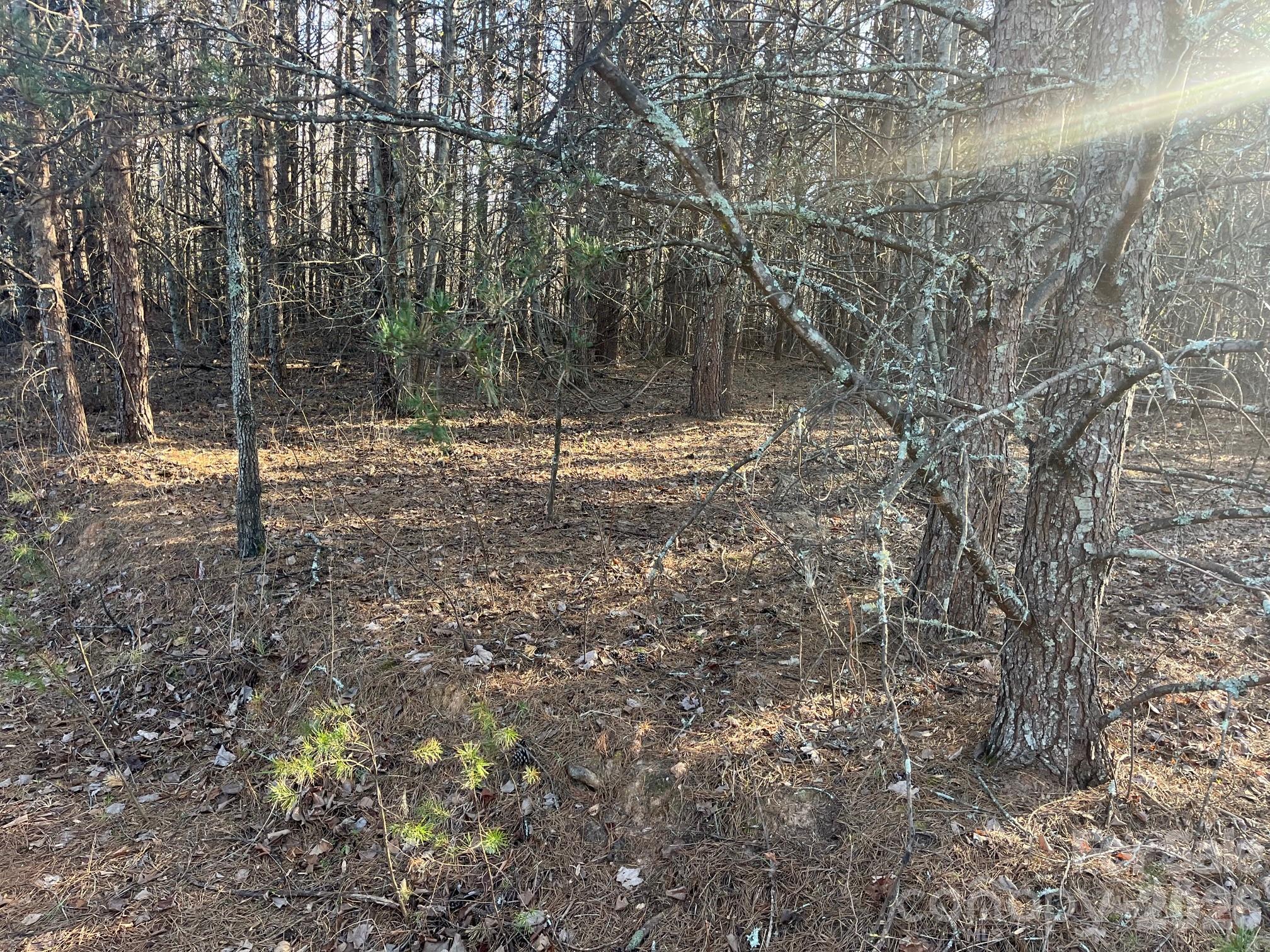 Tbd Southern Way Nebo, NC 28761 - Photo 5 of 22