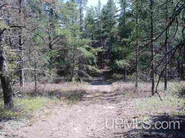 119 West Gordon Road Marquette, MI 49855 - Photo 6 of 7