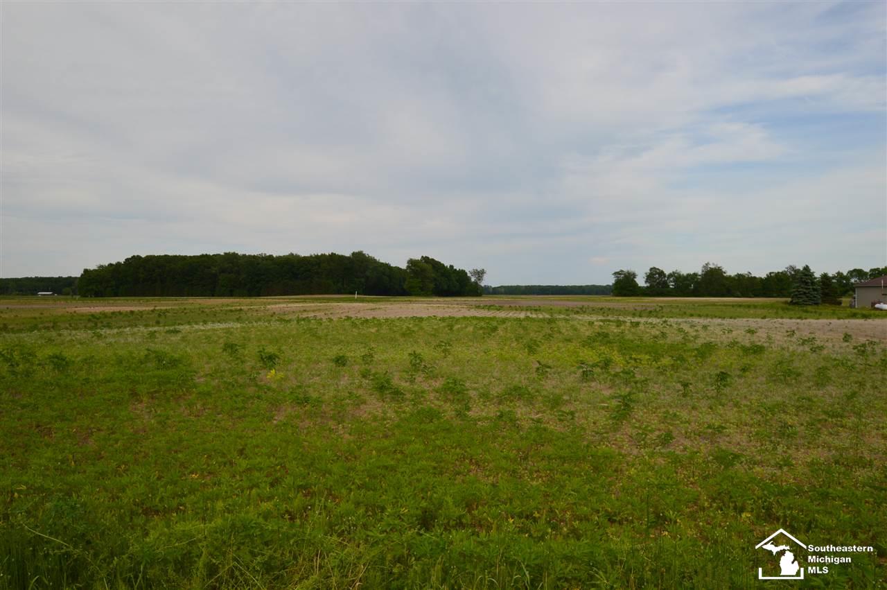 30 Yensch Road Dundee, MI 48131 - Photo 5 of 7