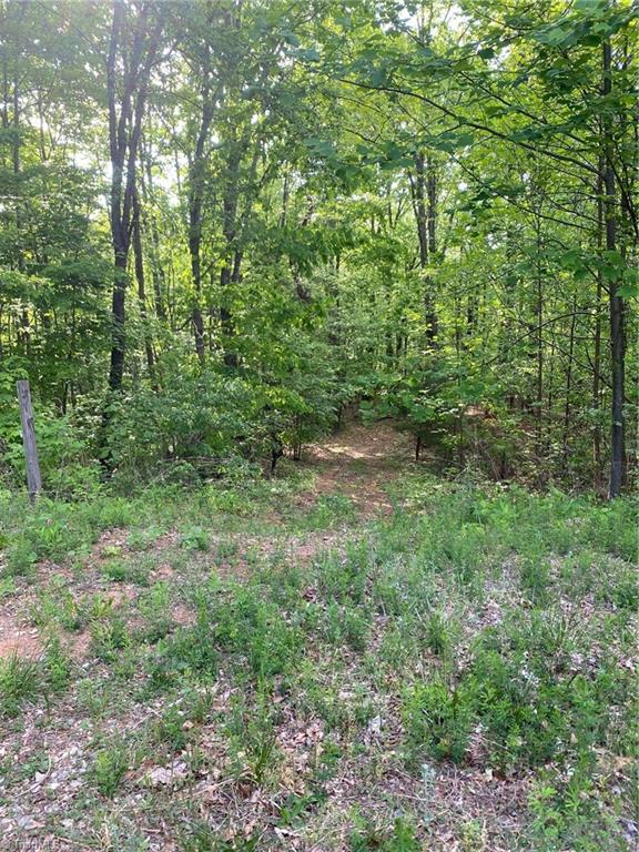 0 Angle Street Purlear, NC 28665 - Photo 1 of 2