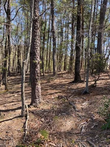 $31,000 | 0 Angle Street, Purlear, NC 28665